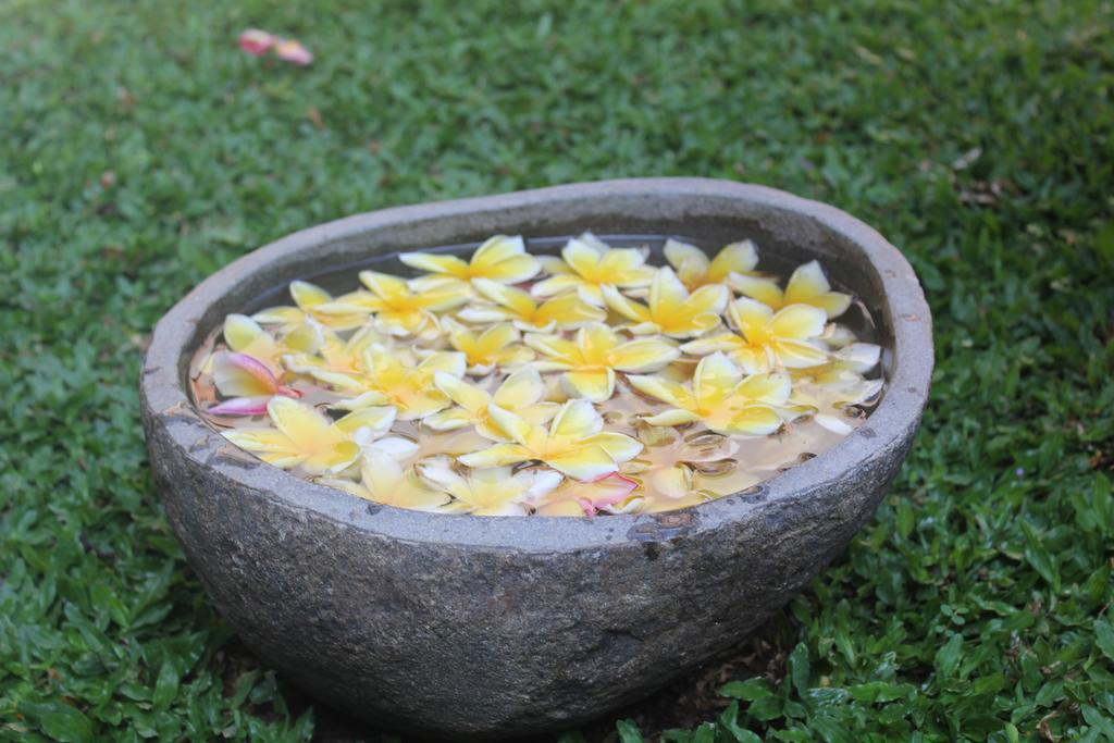 Odah Ayu Guest House Ubud Kültér fotó